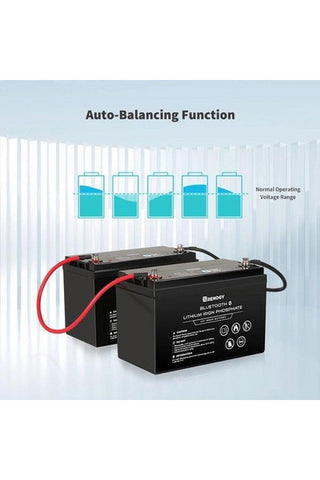 Image of Renogy 12V 100Ah Lithium Iron Phosphate Battery with Bluetooth