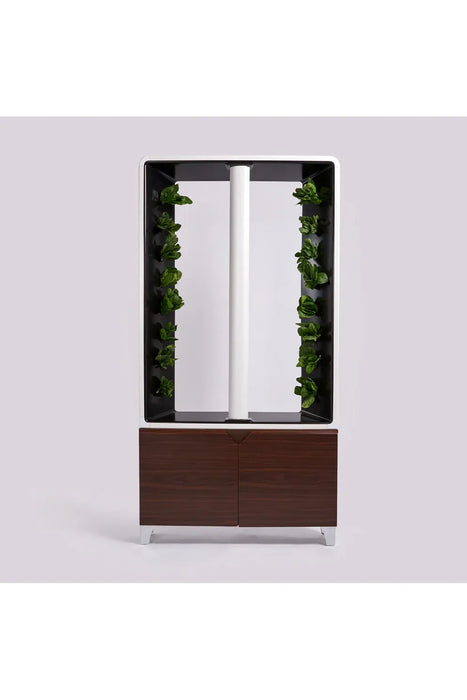 Just Vertical AEVA Indoor Hydroponic Garden