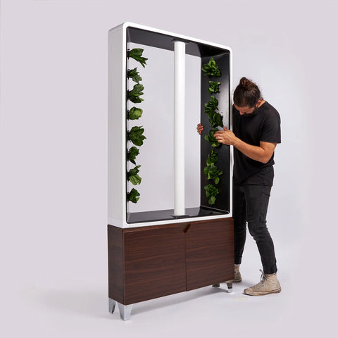 Image of Just Vertical AEVA Indoor Hydroponic Garden