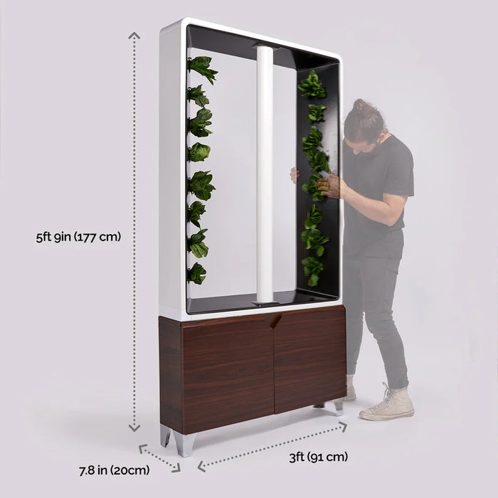 Just Vertical AEVA Indoor Hydroponic Garden