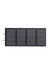 EcoFlow 220W Bifacial Portable Solar Panel
