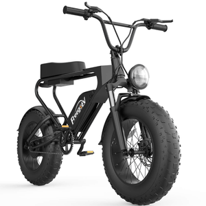 Freego DK200 Off Road Mountain Electric Bike 20'' Fat tires 20Ah Lithium Battery