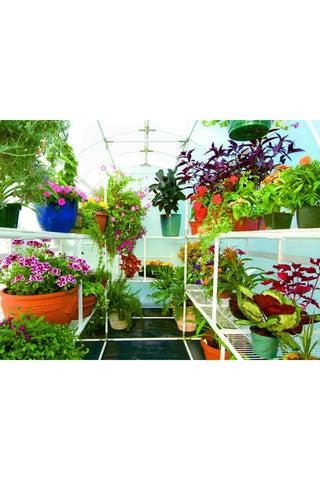Image of Solexx 8ft x 24ft Gardener's Oasis Greenhouse G-224