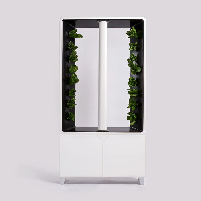 Just Vertical AEVA Indoor Hydroponic Garden