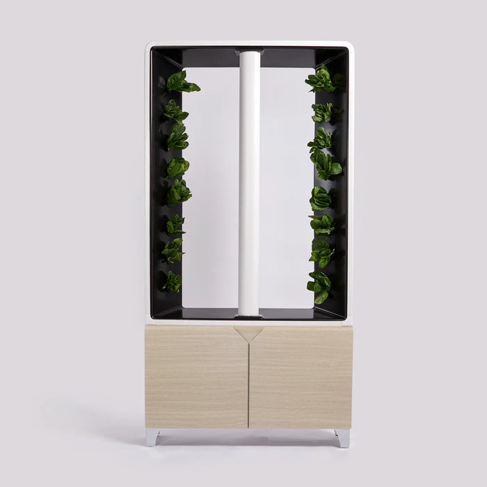 Just Vertical AEVA Indoor Hydroponic Garden