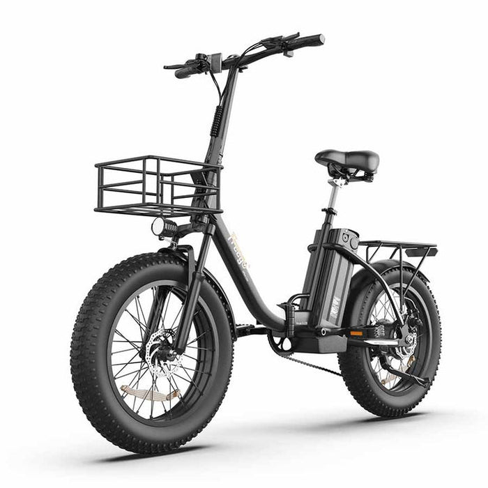 Freego eFlex Lite B-20B Foldable Electric Bike 500W Poweful Motor