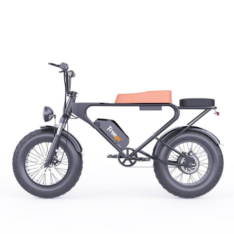 Image of Freego DK200 Off Road Mountain Electric Bike 20'' Fat tires 20Ah Lithium Battery