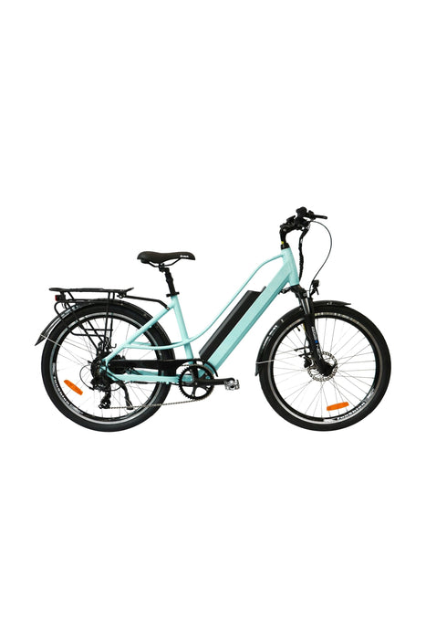 Eunorau E-Torque Electric Bike