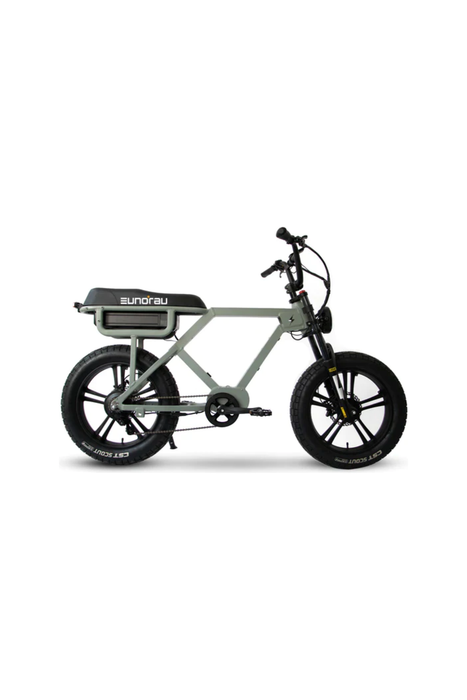 Eunorau Flash Electric Bike