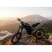 Freego X2 Dirt Master Off Electric Bike