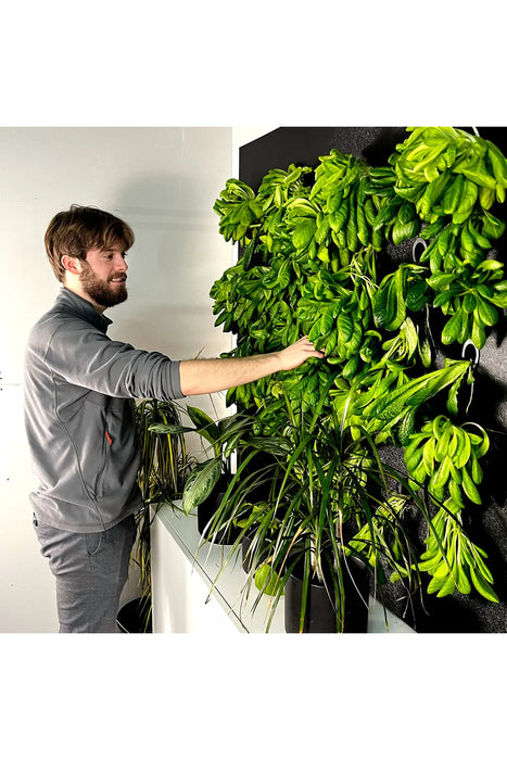 Just Vertical Indoor Grow Wall System