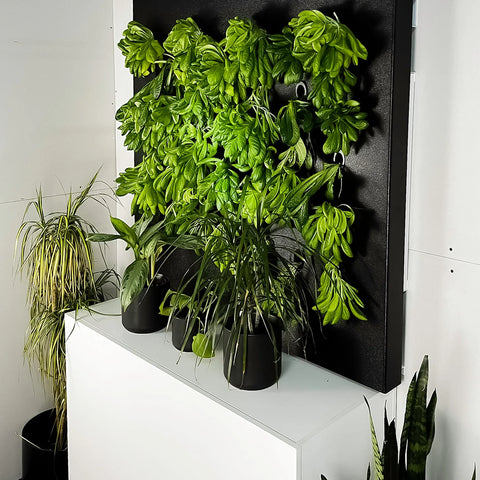 Image of Just Vertical Indoor Grow Wall System