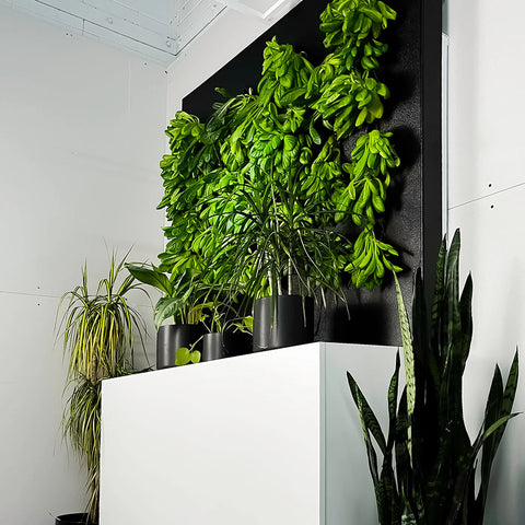 Image of Just Vertical Indoor Grow Wall System