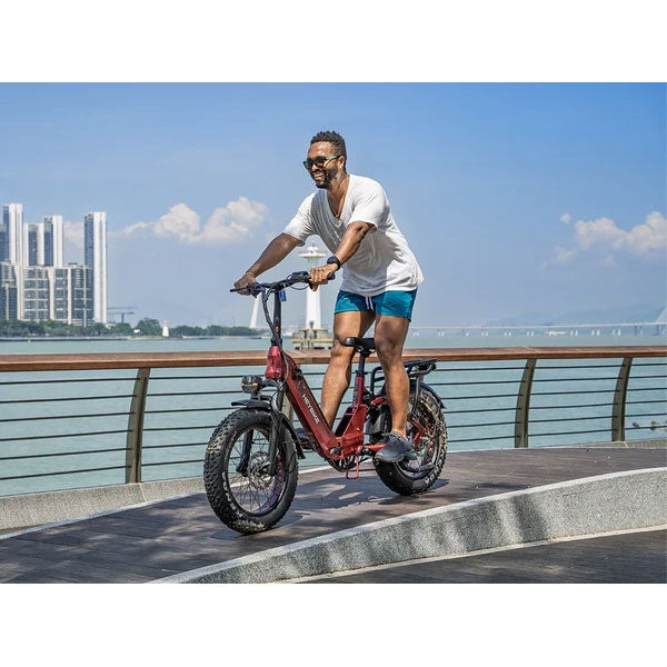 HeyBike Ranger 3.0 Pro Electric Bike