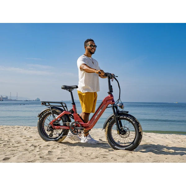 HeyBike Ranger 3.0 Pro Electric Bike