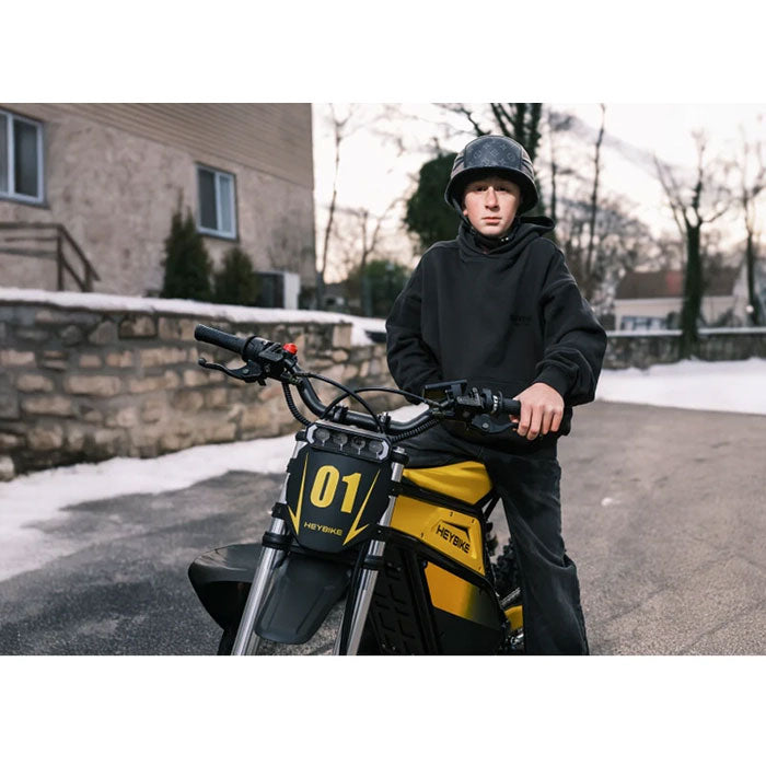 HeyBike Villian Electric Dirt Bike