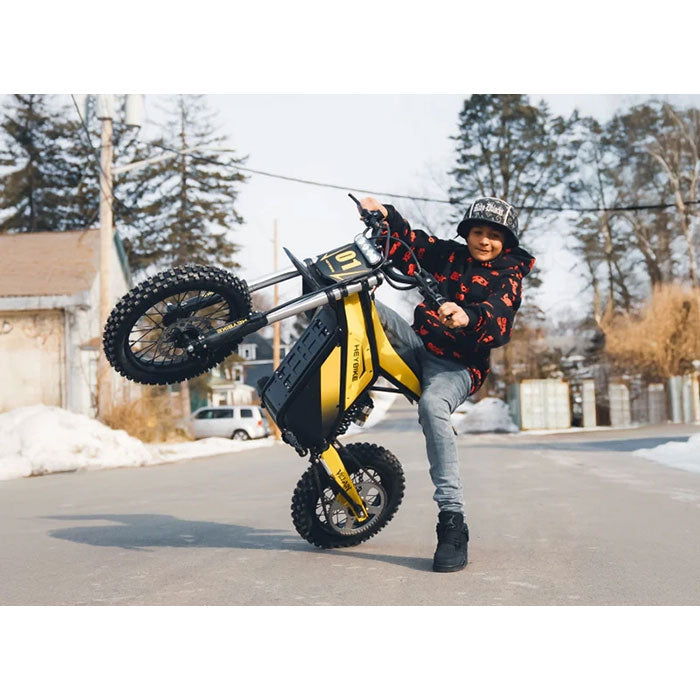 HeyBike Villian Electric Dirt Bike