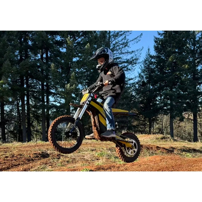 HeyBike Villian Electric Dirt Bike