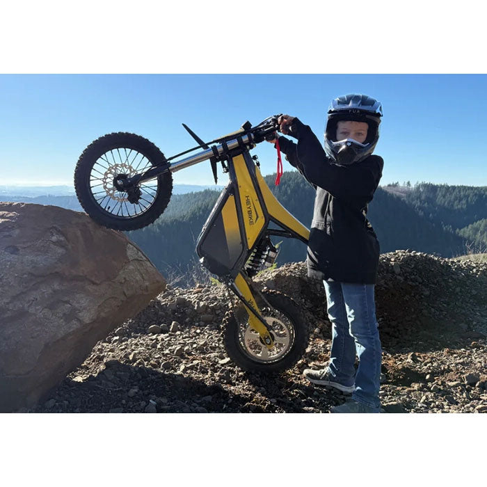 HeyBike Villian Electric Dirt Bike