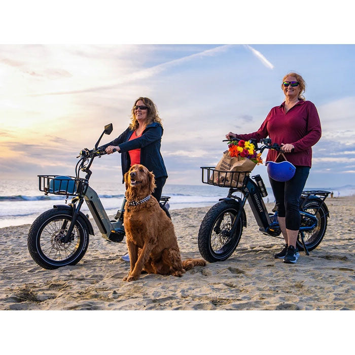 Himiway D5 2.0 20" Electric Bike