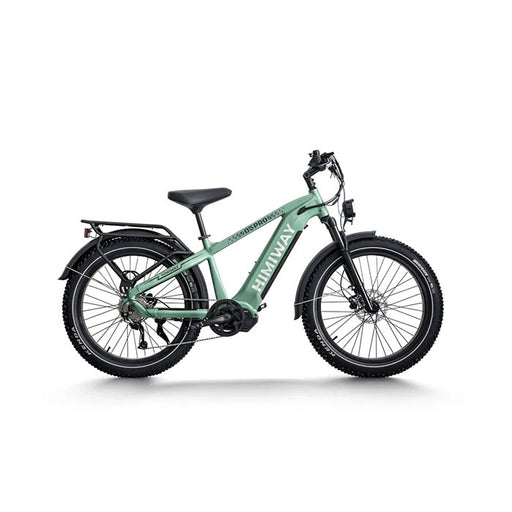 Himiway D5 Pro All-Terrain Electric Fat Bike