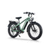 Himiway D5 Pro All-Terrain Electric Fat Bike