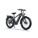 Himiway D5 Pro All-Terrain Electric Fat Bike