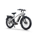 Himiway D5 Pro All-Terrain Electric Fat Bike
