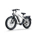 Himiway D5 Pro All-Terrain Electric Fat Bike
