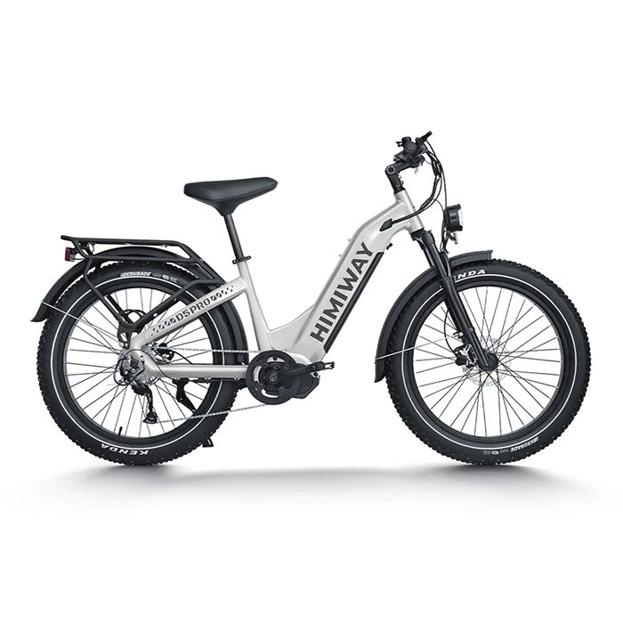 Himiway D5 Pro ST All-Terrain Electric Fat Bike