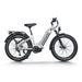 Himiway D5 Pro ST All-Terrain Electric Fat Bike