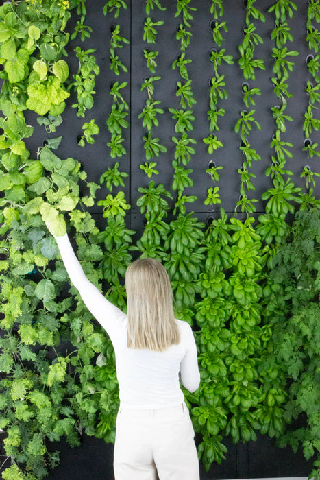 Just Vertical Indoor Grow Wall System