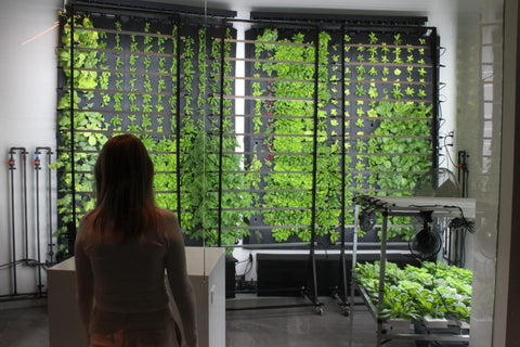 Image of Just Vertical Indoor Grow Wall System