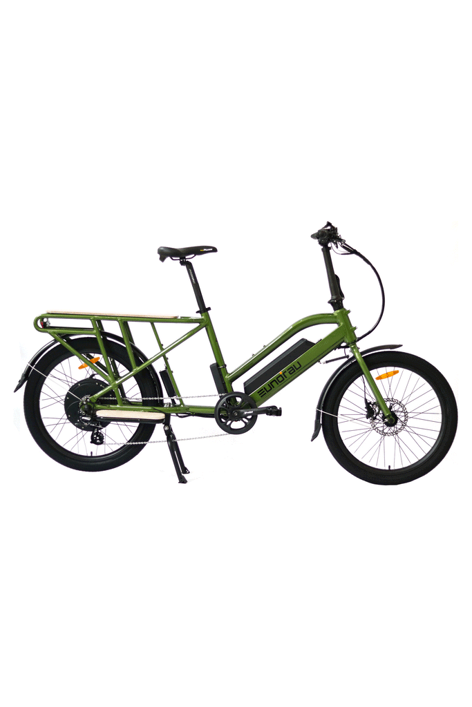 Eunorau Max Cargo Electric Bike