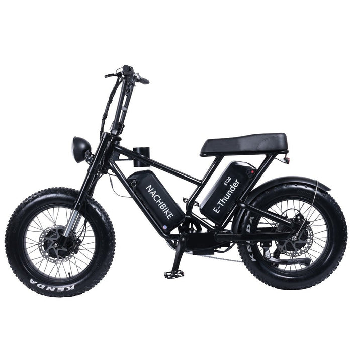 Freego T1 Foldable Electric Bike 20AH Battery with 16"×3.0" Tire