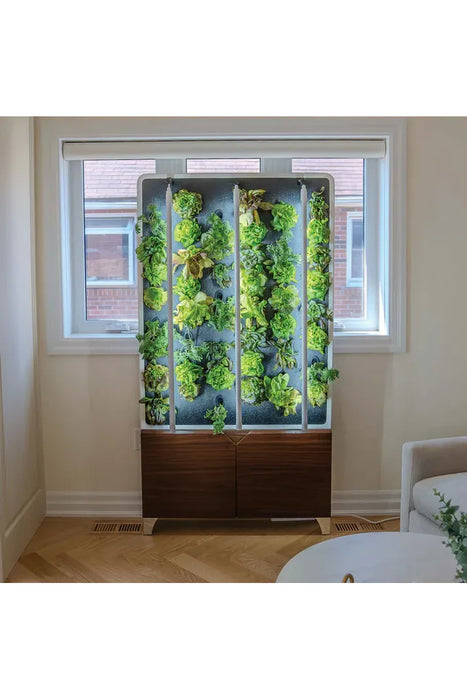 Just Vertical ECO Living Green Wall