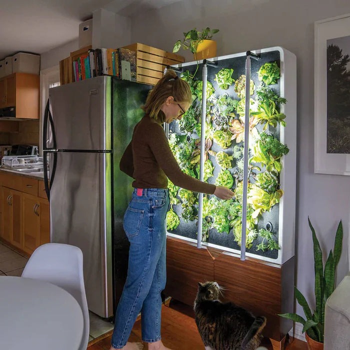 Just Vertical ECO Living Green Wall