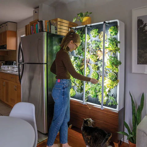 Image of Just Vertical ECO Living Green Wall