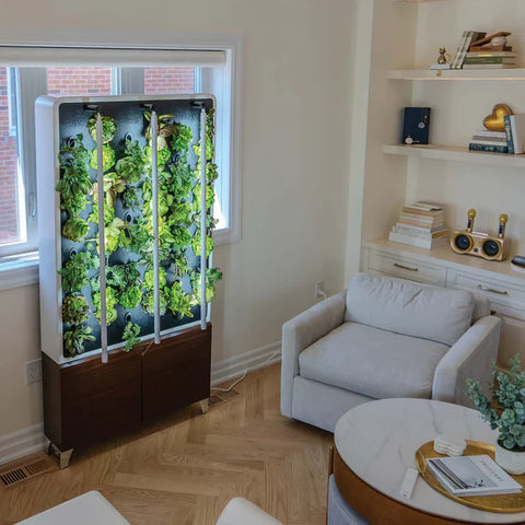 Image of Just Vertical ECO Living Green Wall