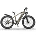 Aostirmotor Hero Off-Road Electric Bike