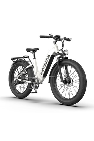 Aostirmotor QUEEN 1000W 52V Step-Through All-Terrain Fat Tire Electric Bike