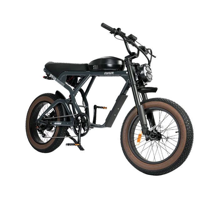 Revi Bikes Cougar Electric Bike