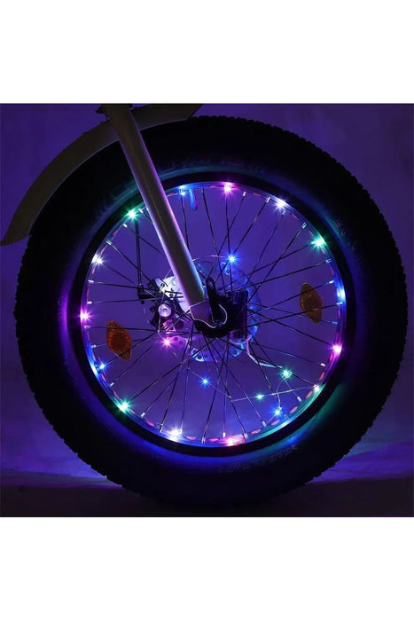 Ecotric Spoke Lights