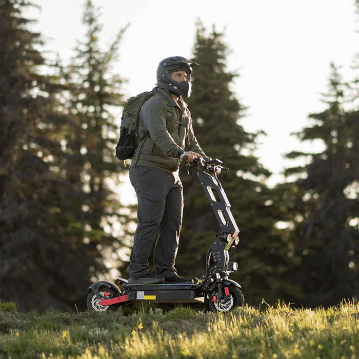 Freego D11 Landtiger Electric Scooter