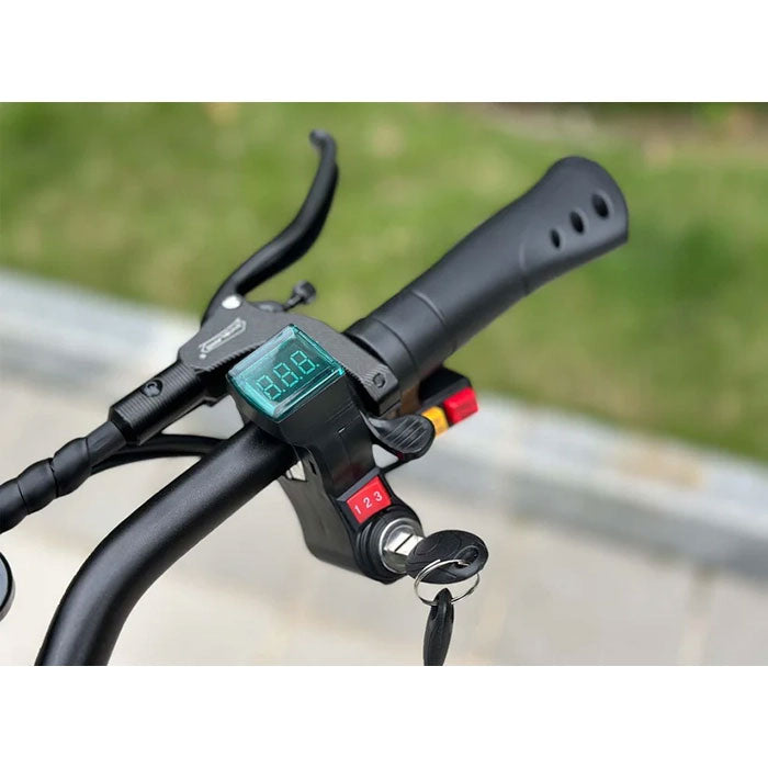 Freego D11 Landtiger Electric Scooter