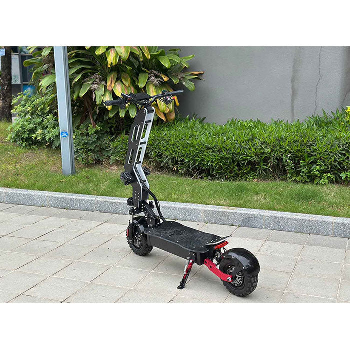 Freego D11 Landtiger Electric Scooter