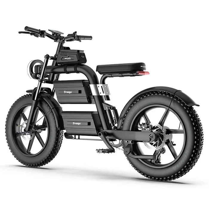 Freego E20 Dual Battery Electric Bike