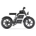 Freego E20 Dual Battery Electric Bike