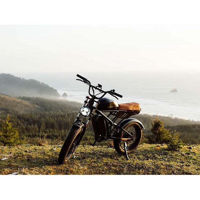 Freego Flash F3 Pro Max Dual Motor and Battery Electric Bike