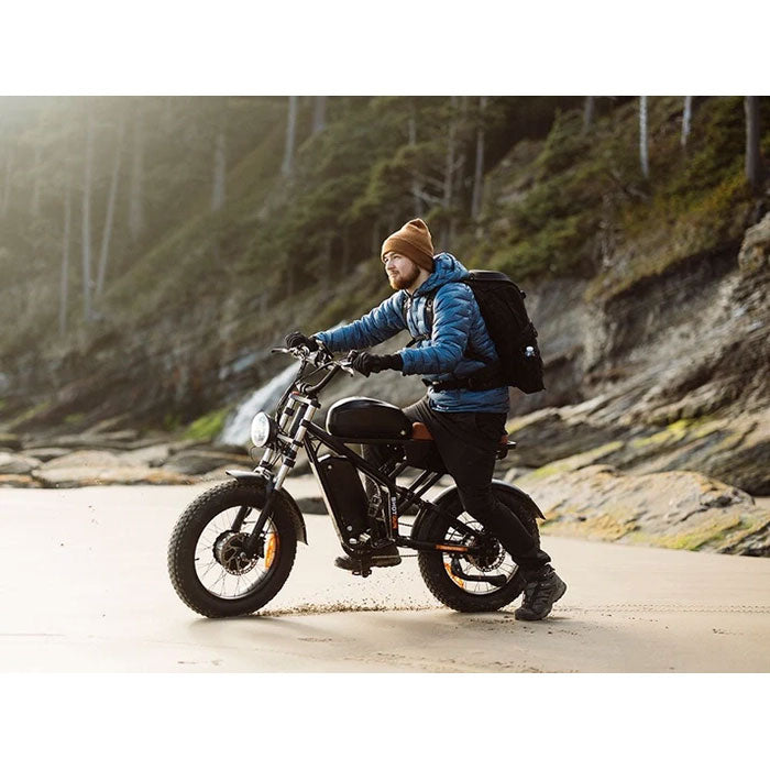 Freego Flash F3 Pro Max Dual Motor and Battery Electric Bike